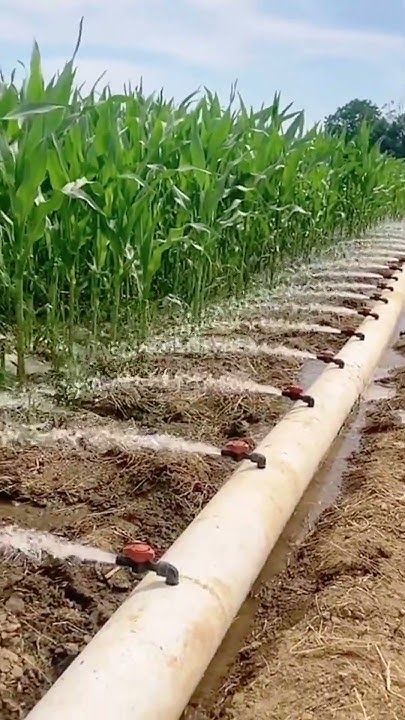 Irrigation & Drainage Systems