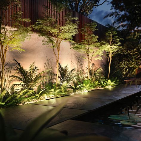 Landscape & Garden Lighting