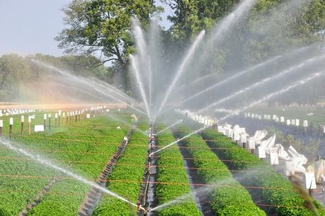 Sprinkler Irrigation System