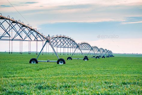 Subsurface Irrigation System
